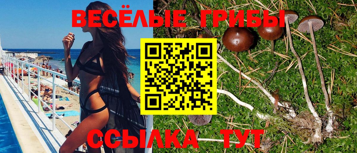 Саратов  Псилоцибиновые грибы ЛСД  Вход с VPN 